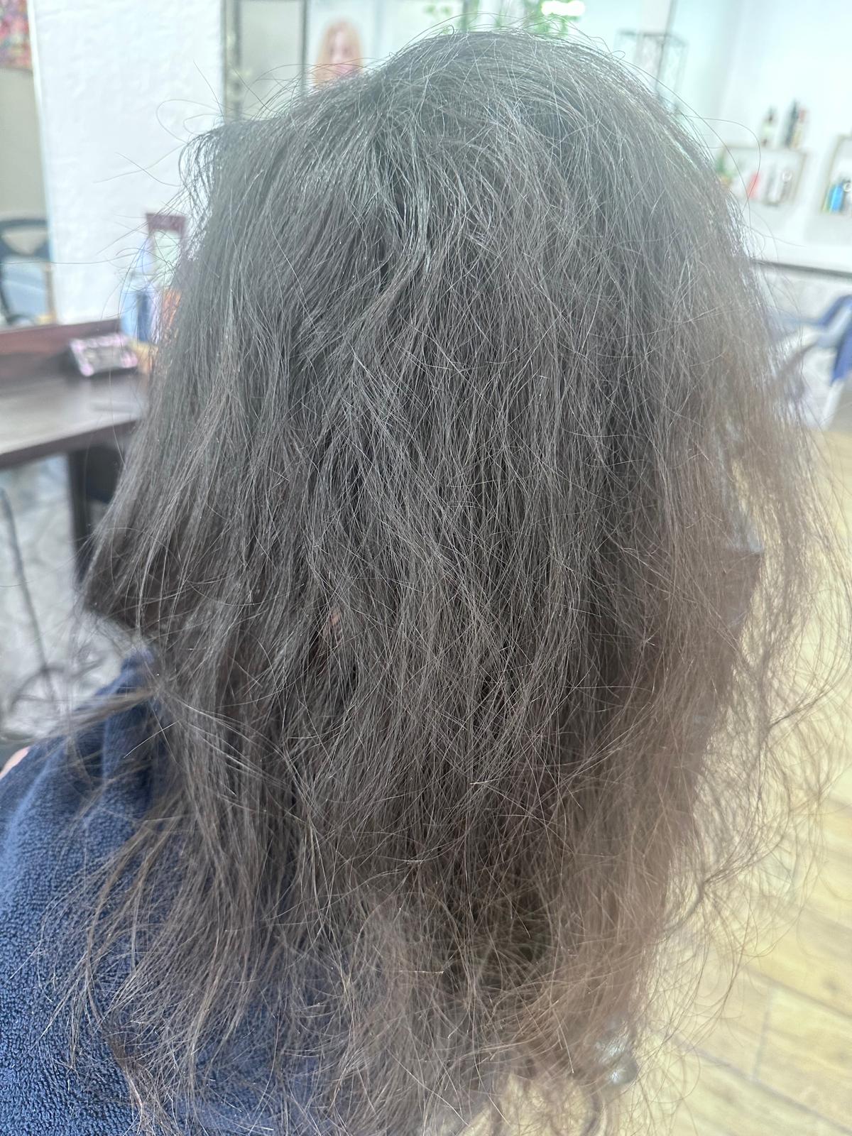 salon de coiffure mouans sartoux salon de coiffure mougins salon de coiffure valbonne salon de coiffure grasse salon de coiffure plascassier coiffeur mouans sartoux coiffeur mougins coiffeur valbonne coiffeur grasse coiffeur plascassier